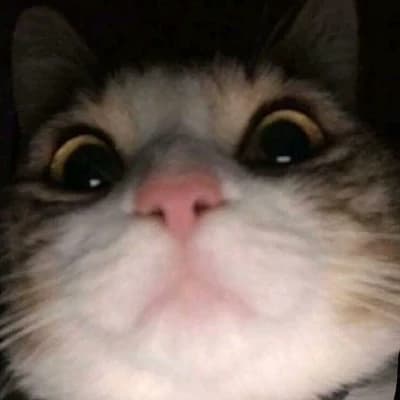 Gaby thumbnail