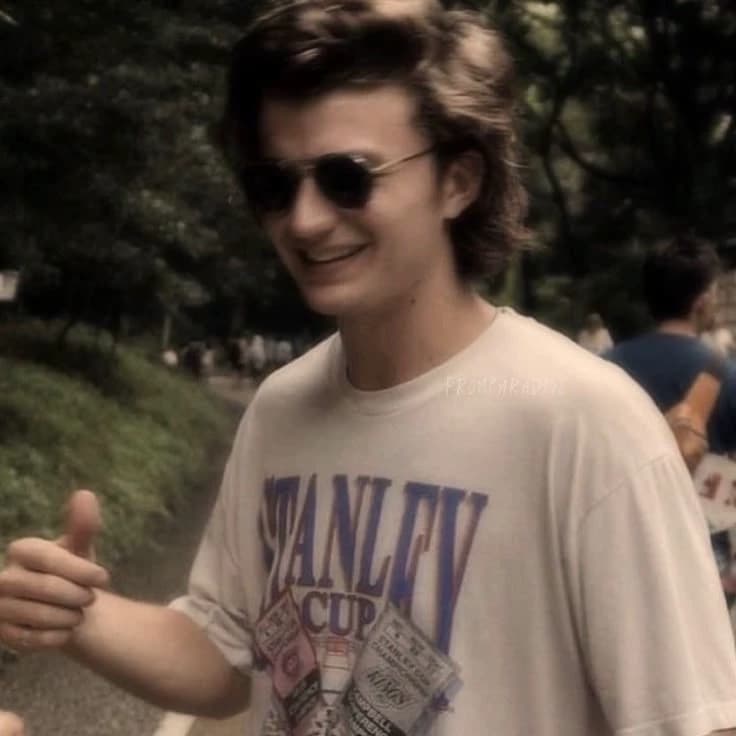 Steve Harrington thumbnail