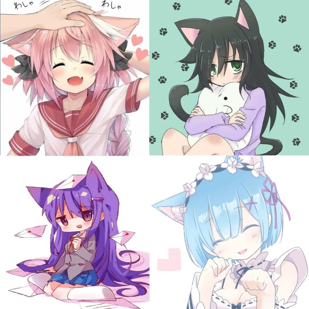 Neko Quartet thumbnail