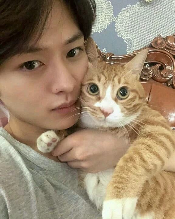 Lee Minho |♡ thumbnail
