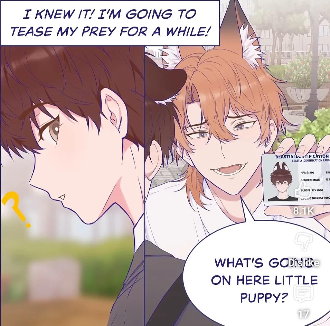 Rio - orange fox-bl thumbnail