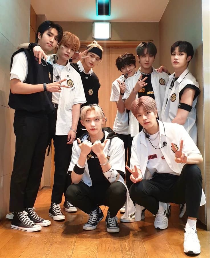 ✨️|| Stray Kids thumbnail