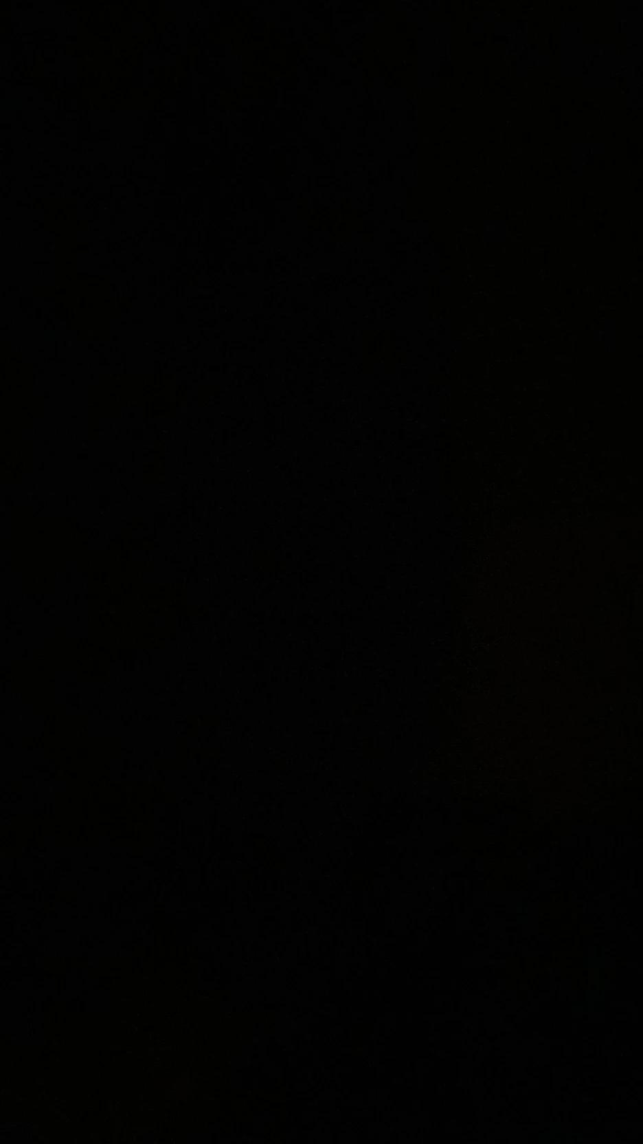 Bear thumbnail