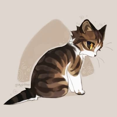 TawnyKit thumbnail