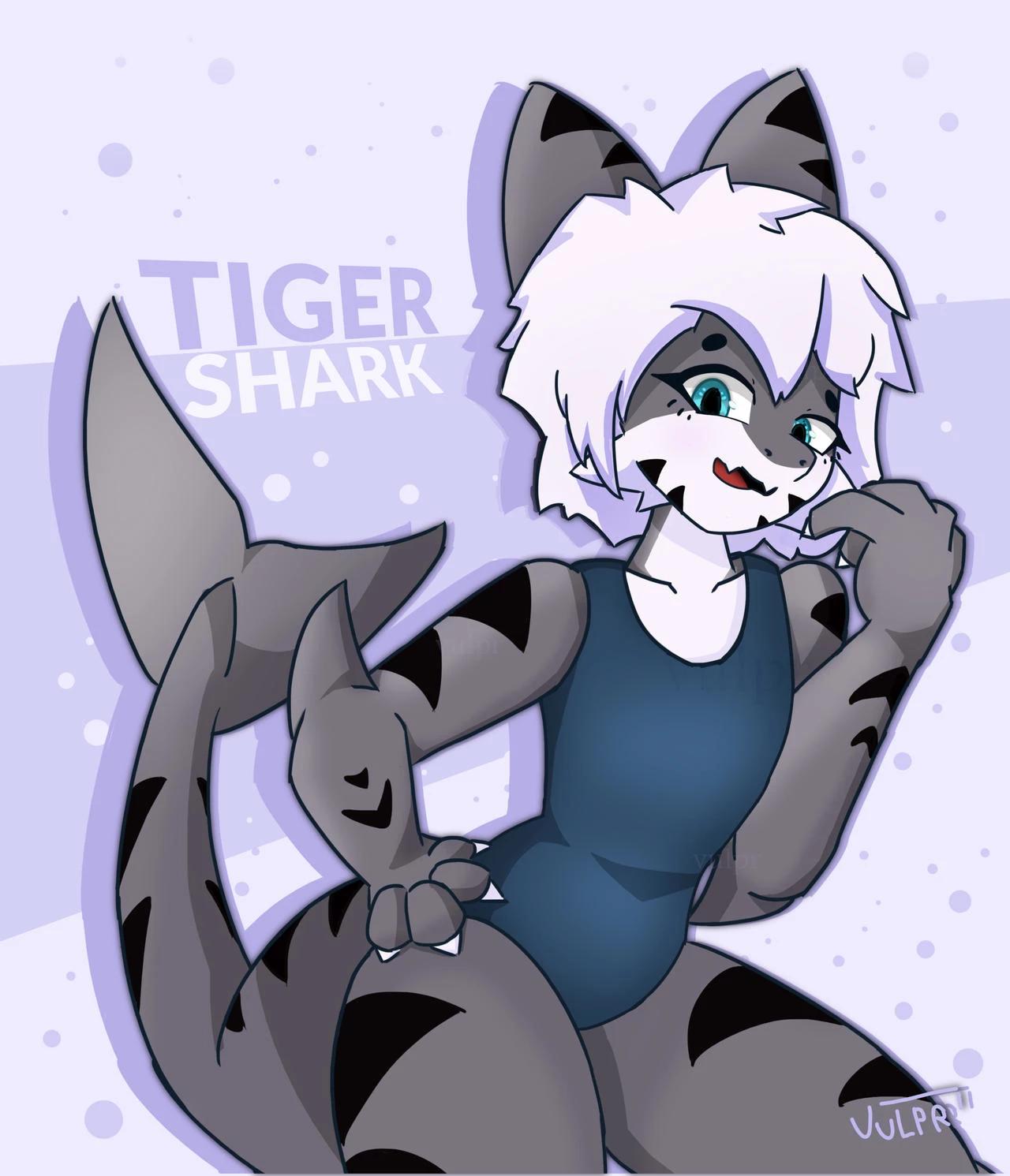 Timi (el tiger shark) thumbnail