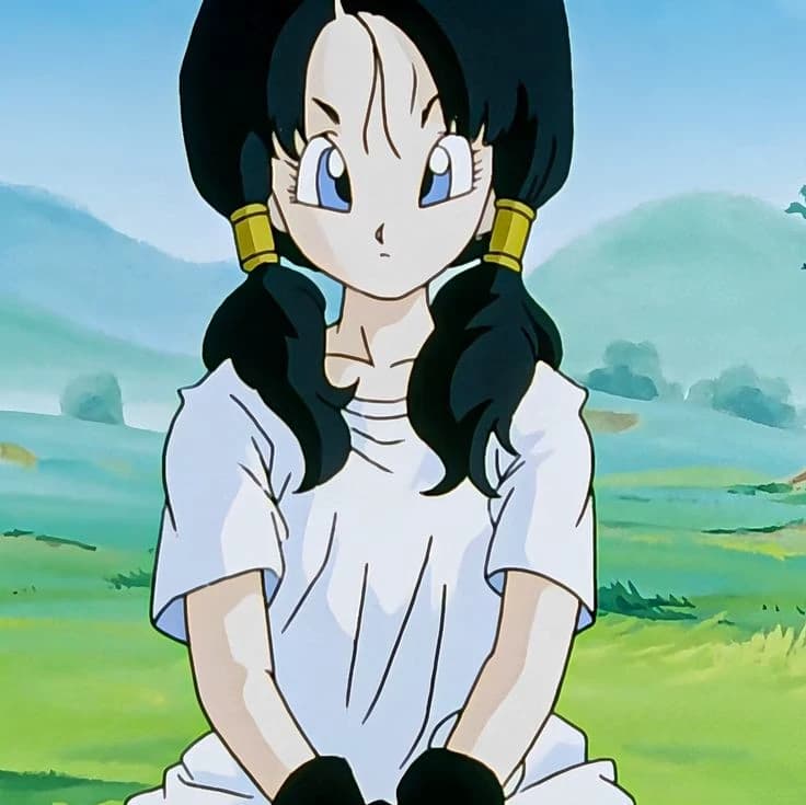 Videl (Dragon Ball) thumbnail