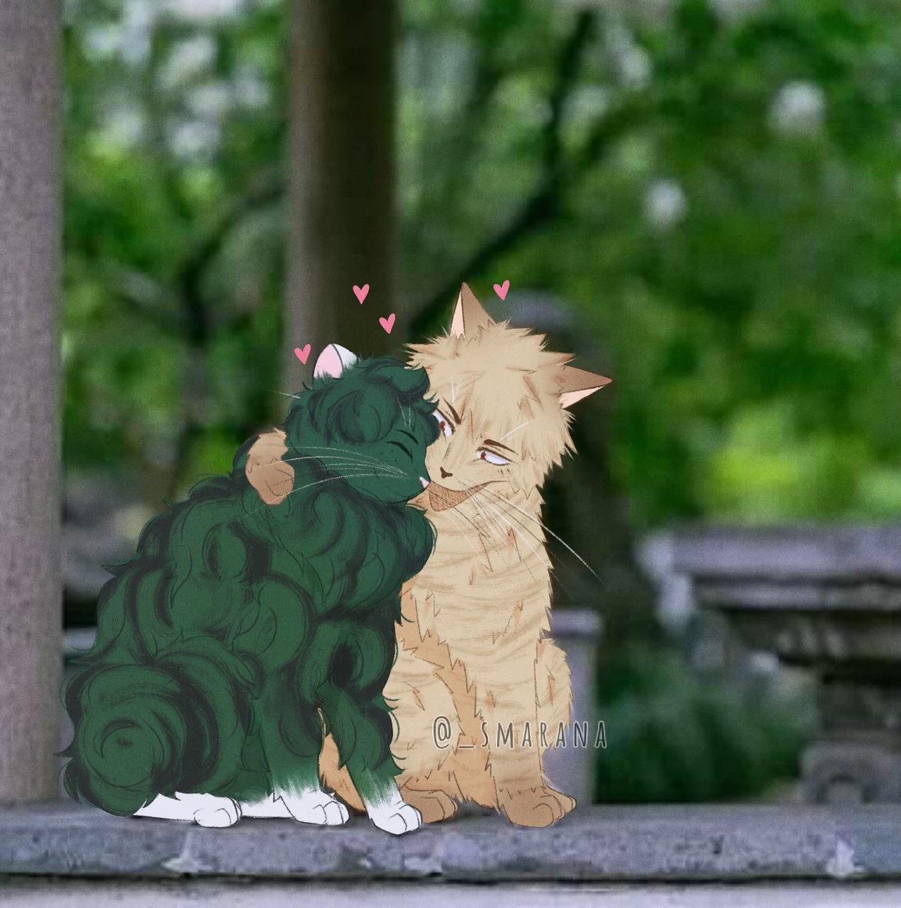 Katsuki Gato 🐱 thumbnail