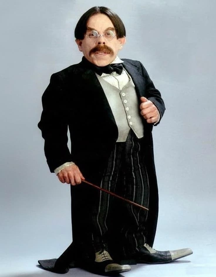 Professor Flitwick thumbnail