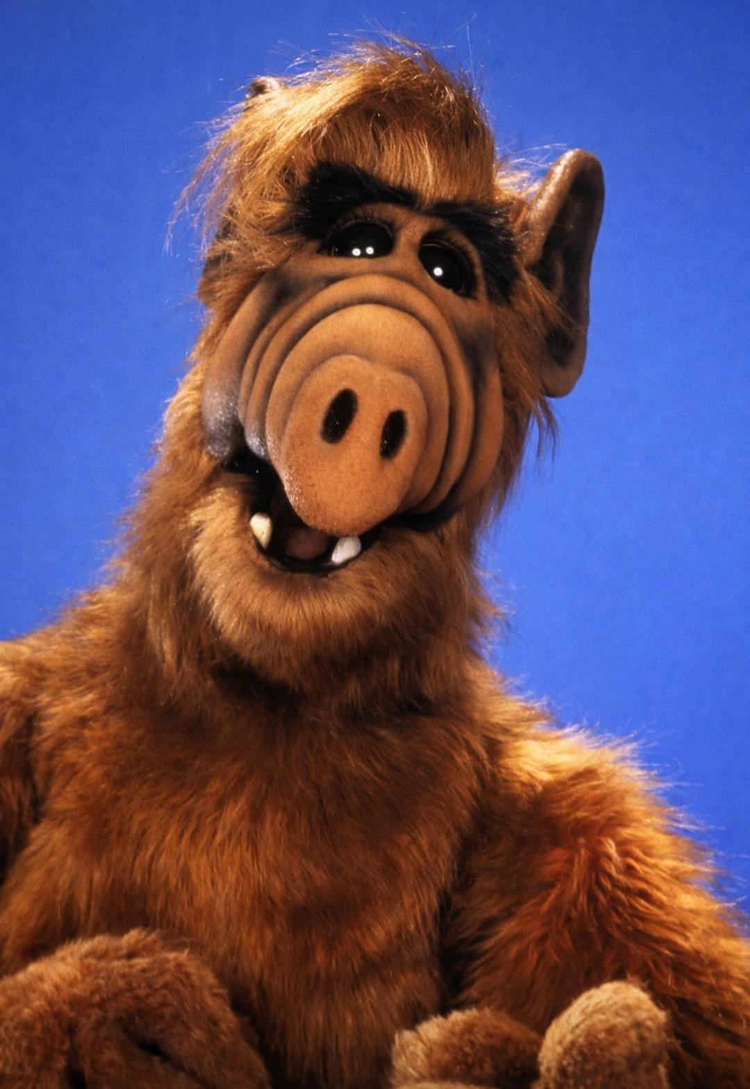 ALF (Gordon Shumway) thumbnail