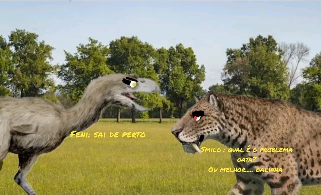 Feni x smilo thumbnail