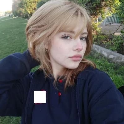 Holly wood thumbnail