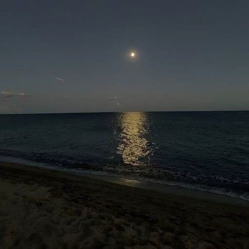 Night thumbnail