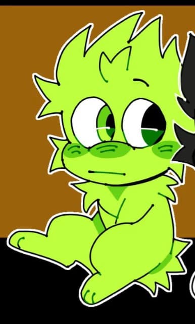 OWAKCX—(feral animal) thumbnail