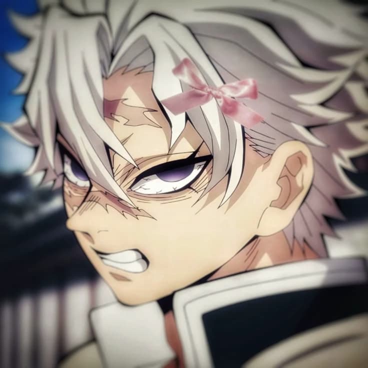 Sanemi Shinazugawa (🌠britel Olimpo🌠) thumbnail