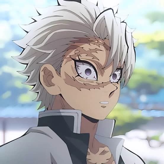Sanemi Shinazugawa 💥 thumbnail