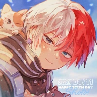 Todoroki Shoto thumbnail