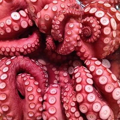 Nameless Tentacles thumbnail