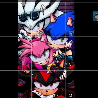 Sonic, Shadow, Silver, and Amy thumbnail