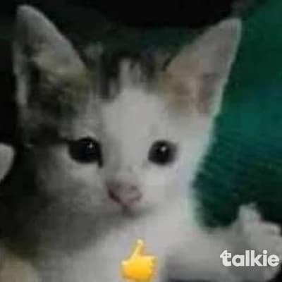 José Santiago thumbnail