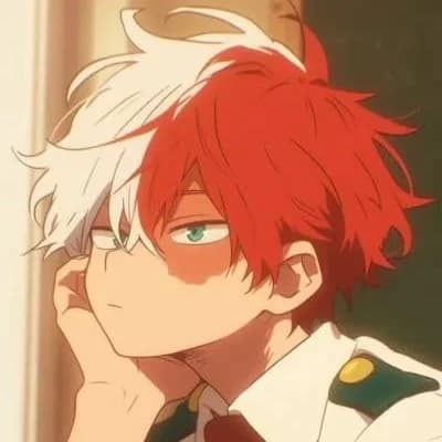 Todoroki Shoto thumbnail