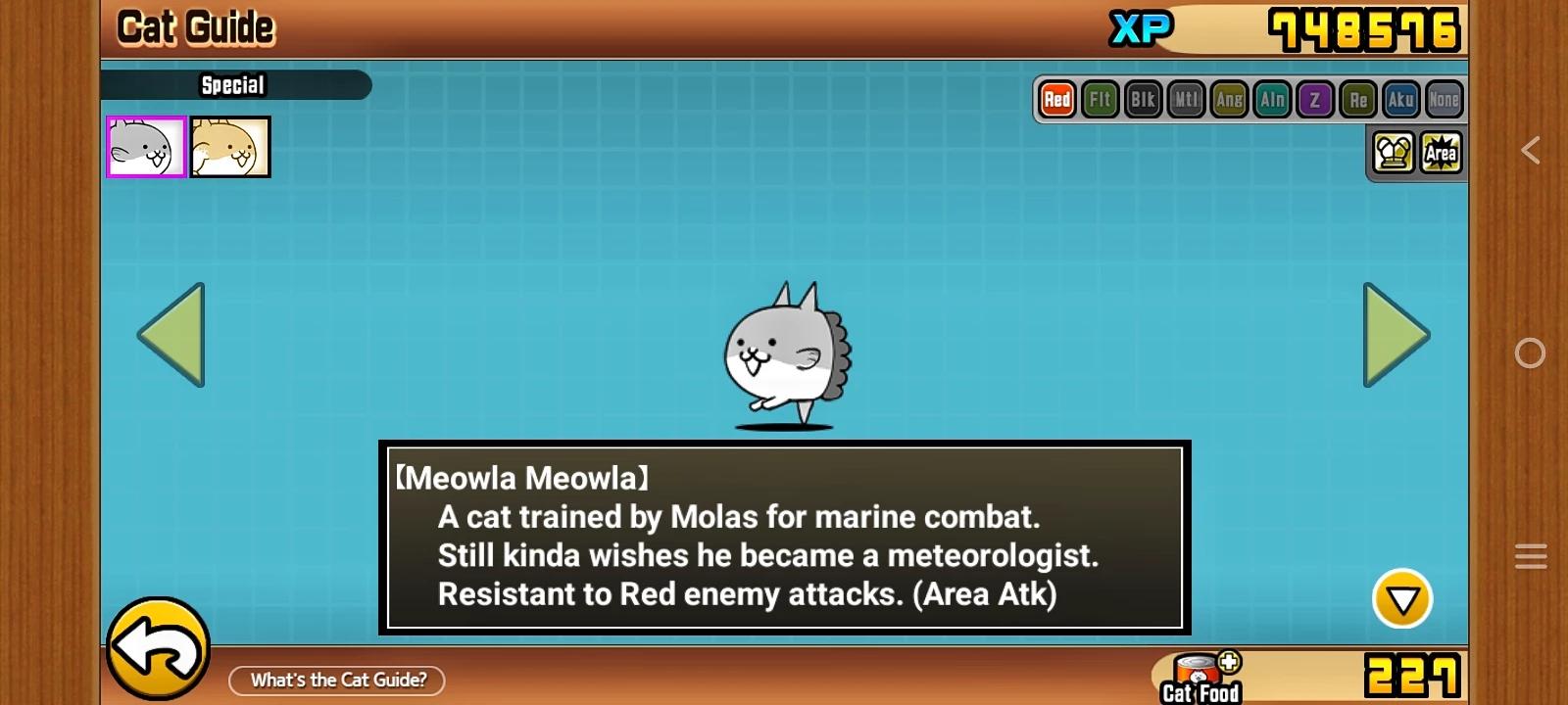 Meowla Meowla thumbnail