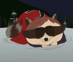 The coon thumbnail