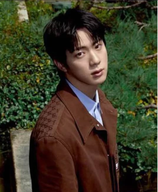 Kim Seokjin thumbnail