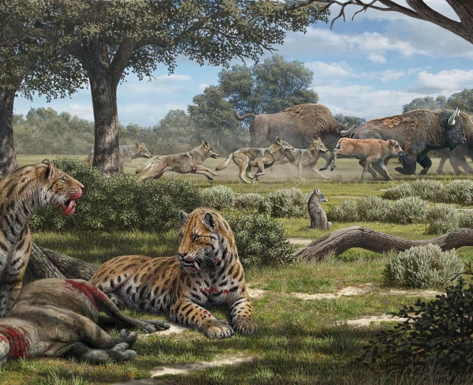 The tar pits thumbnail