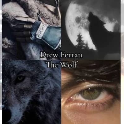 WK | WOLF KING👑🐺 | YOU'RE THE NEW RECRUIT IN THE TEAM thumbnail