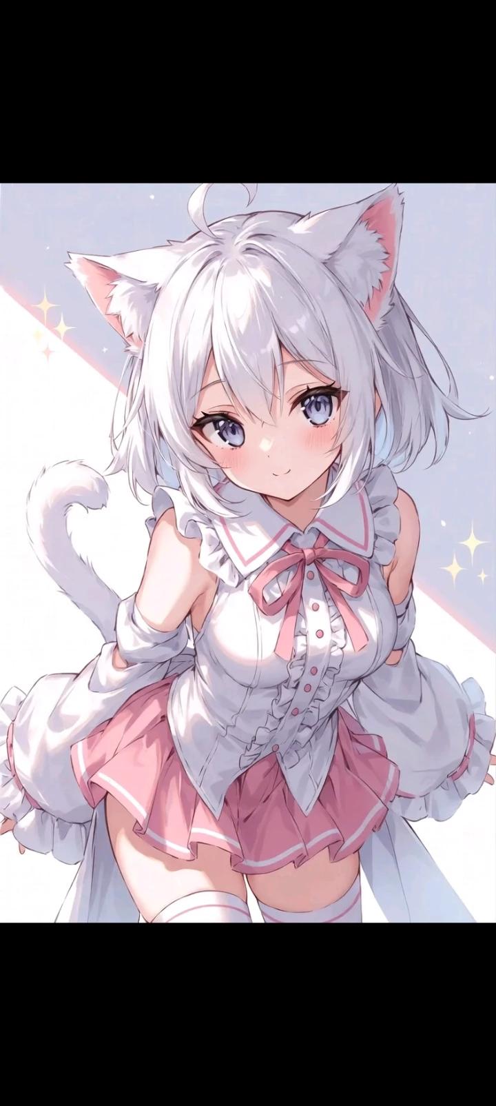 Shiro Neko ♡ thumbnail