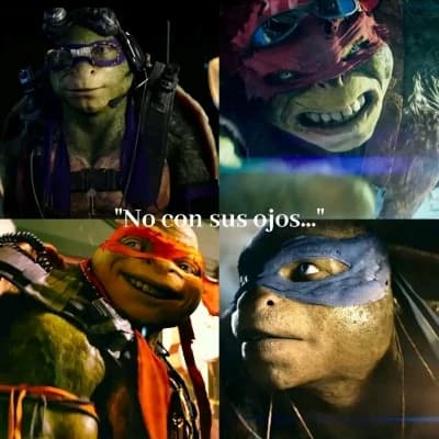 Ninja turtles. thumbnail
