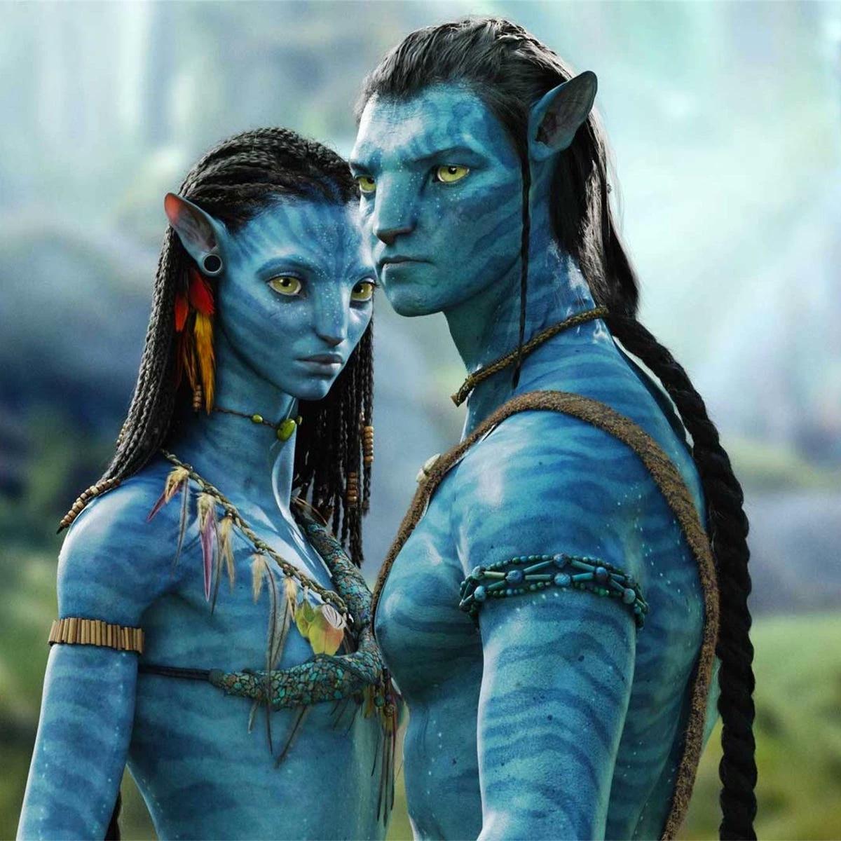 Sully Family | Avatar thumbnail