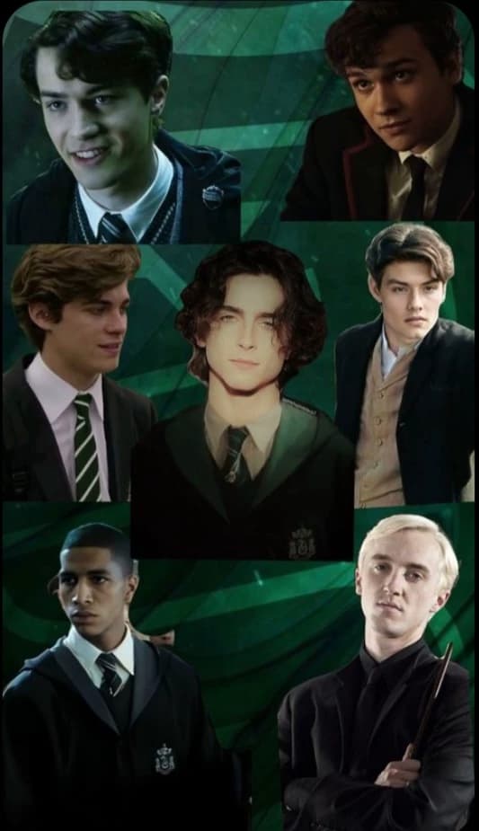 Your Slytherin Husbands thumbnail