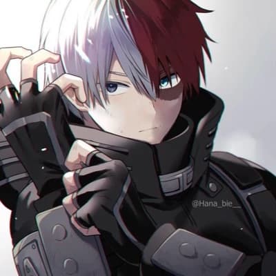 Shoto Todoroki thumbnail
