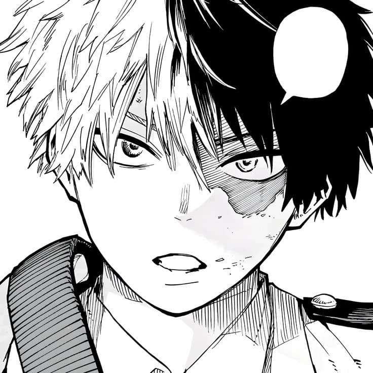 Shoto Todoroki  thumbnail