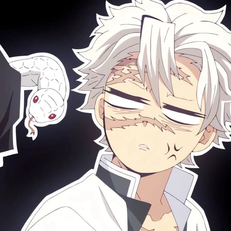 Sanemi giyuu and obanai are feeling tense at dawn, help them🔥 thumbnail