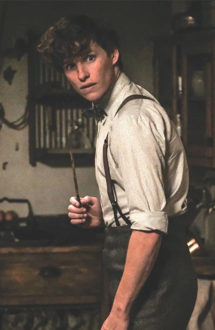 Newt Scamander thumbnail