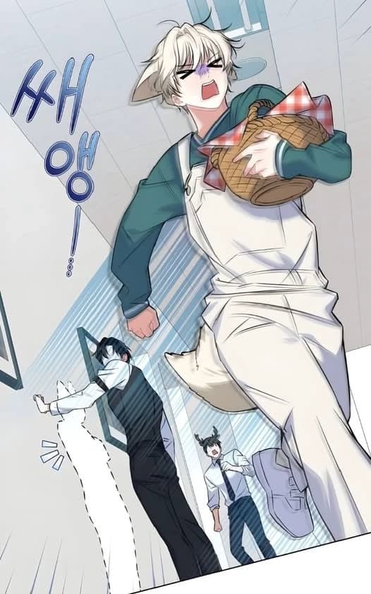 The fox boy from next dorm - Omega verse BL thumbnail