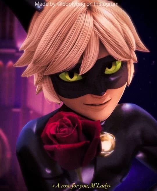 Cat noir-adrian agreste thumbnail