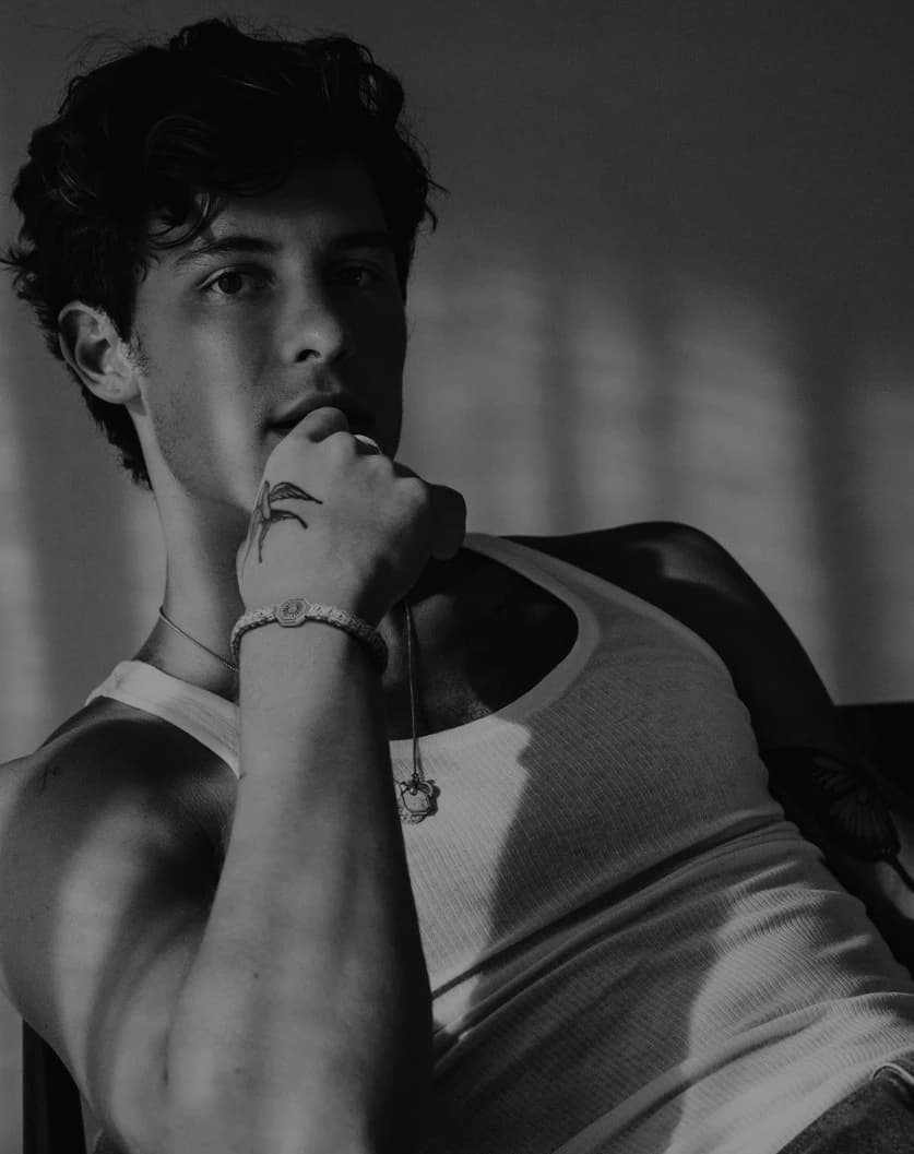 Shawn Mendes|☆ thumbnail