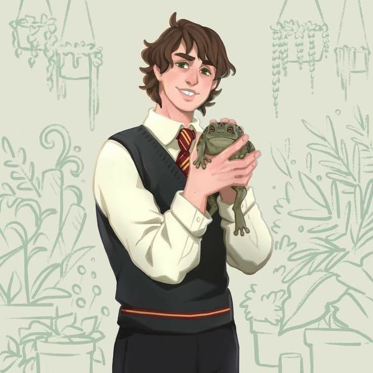 🌵 thumbnail