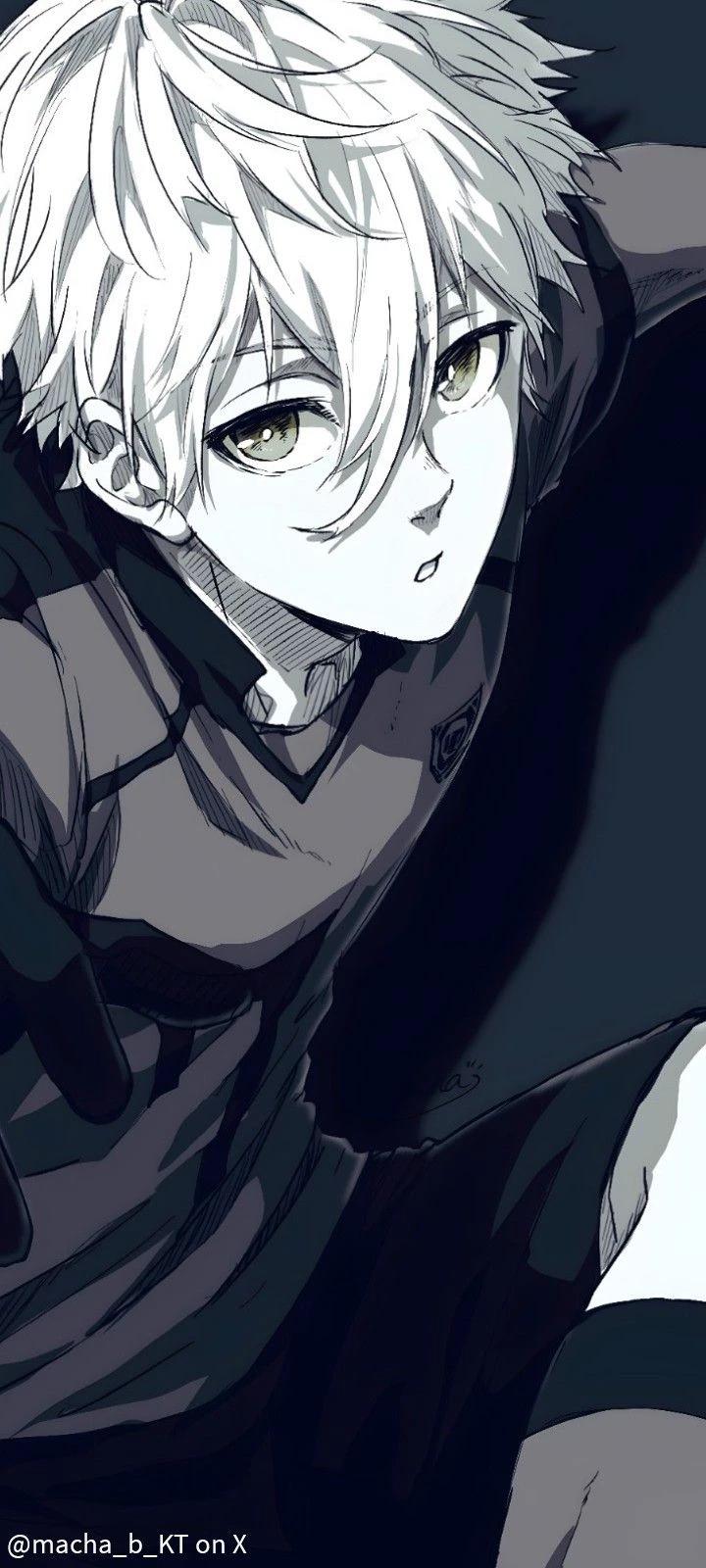 Nagi Seishiro thumbnail