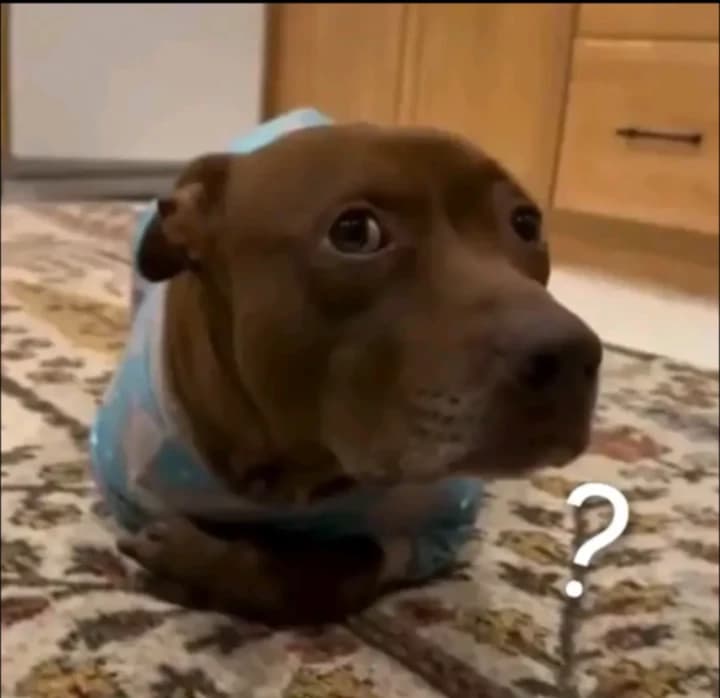 ✨Boby🐕✨, your puppy talks👀, tell him your problems thumbnail