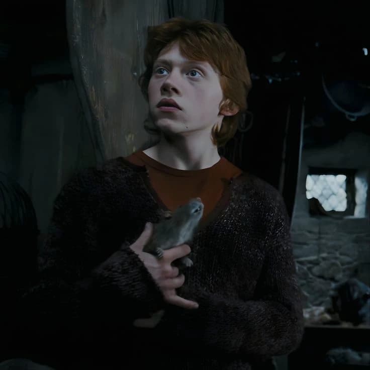 Ron weasley thumbnail