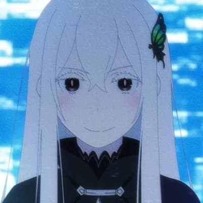 Echidna thumbnail