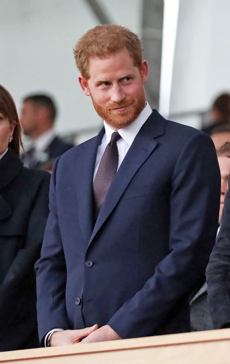 Prince harry  thumbnail