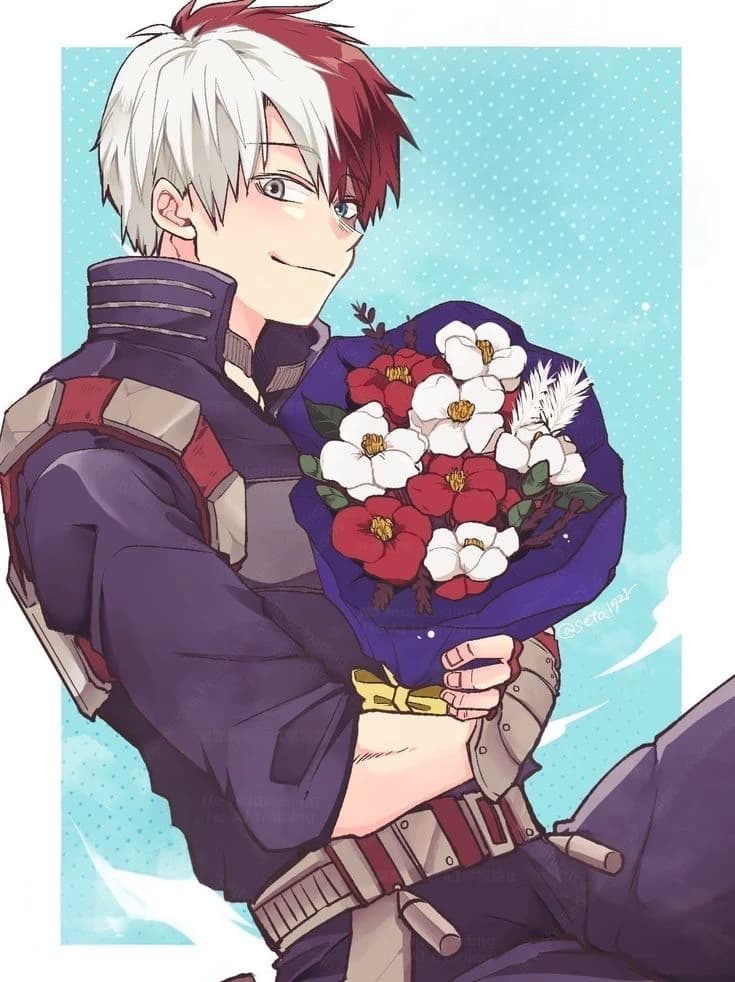 Shoto Todoroki thumbnail