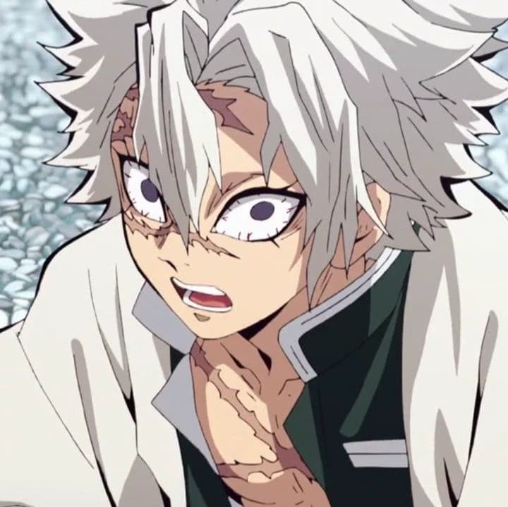 Sanemi shinazugawa thumbnail