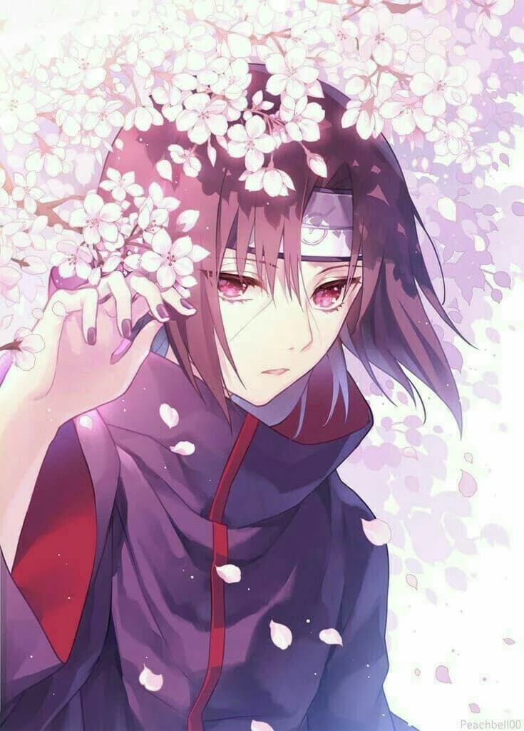 Itachi Bl thumbnail