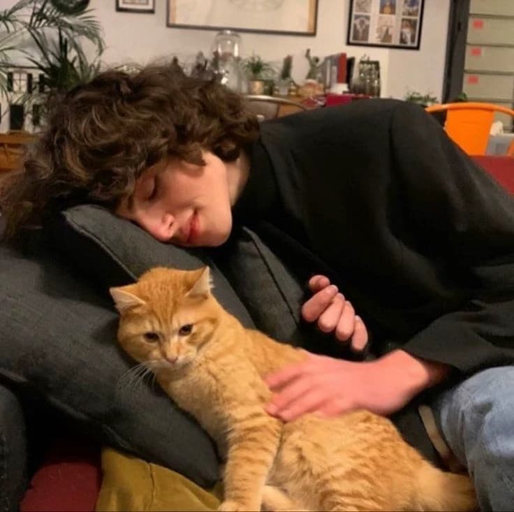Finn thumbnail